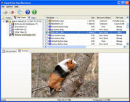 Easy NTFS Data Recovery screenshot